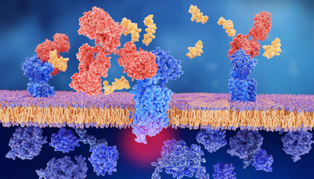 Tumor Microenvironment NFCR Research Focus Areas