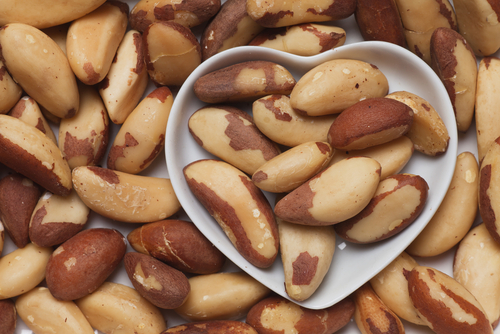 Blog | Taste the Cancer-Fighting Power of Brazil Nuts - NFCR