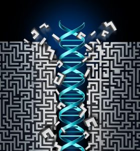 double helix breaking through prostate cancer maze