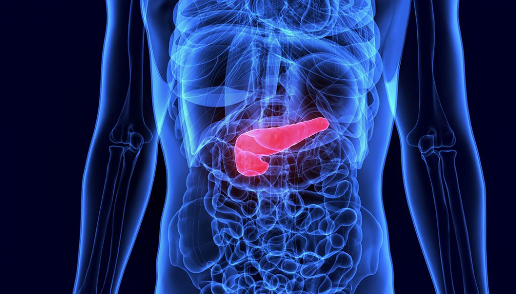 X-ray highlighting the pancreas 