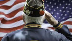 Veterans Day Honor Our Heroes