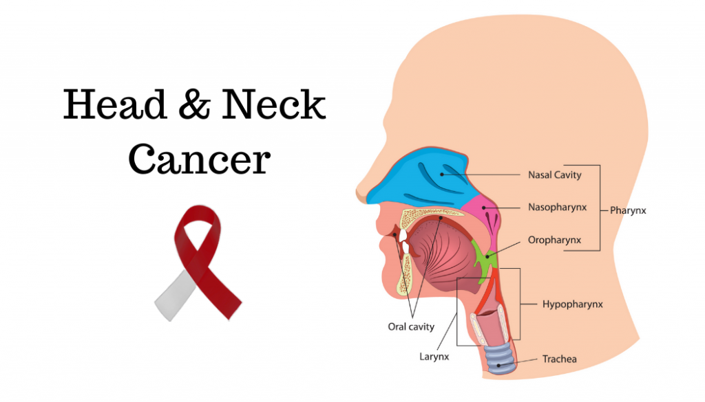 Head and Neck Cancers