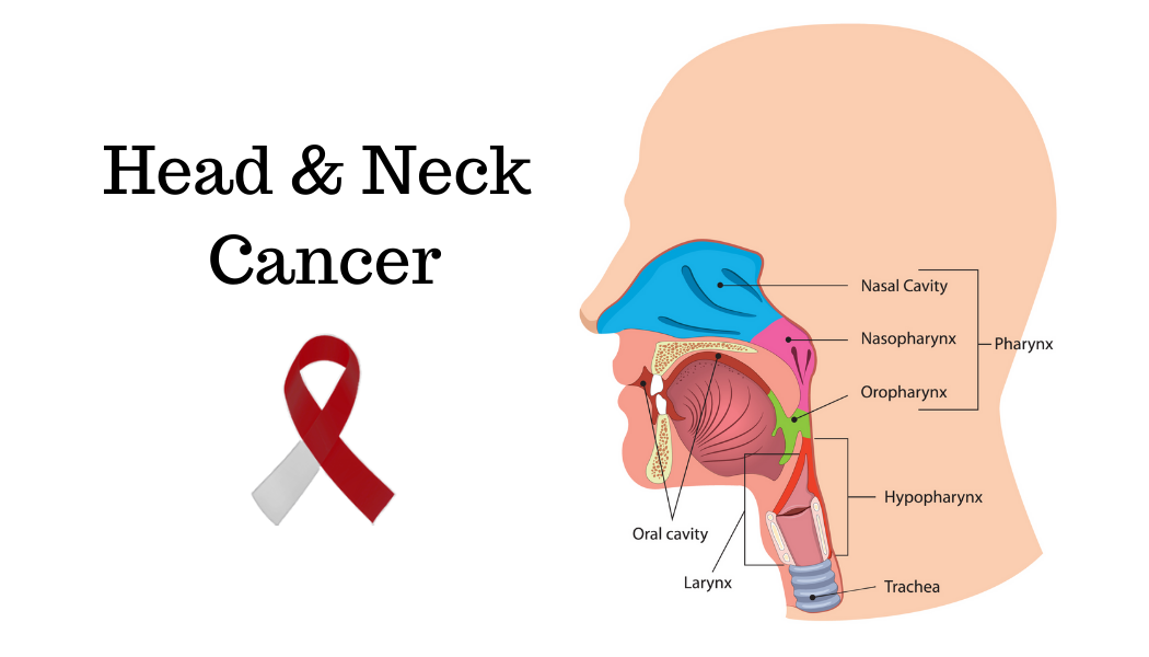 Head And Neck Cancer Awareness Month Nfcr