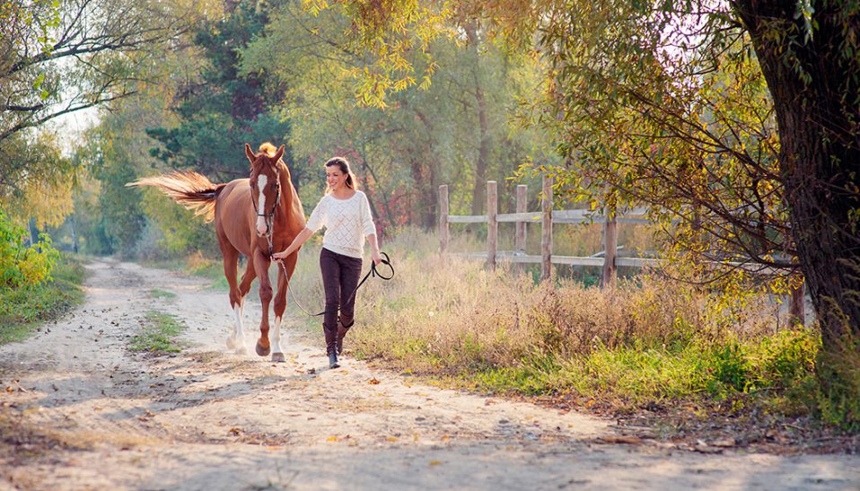 Equine Therapy Cancer Patients