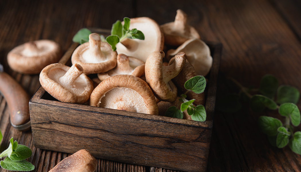 Shiitake mushrooms cancer-fighting recipe