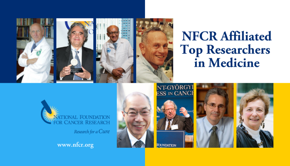 Top Researchers in Medicine NFCR affiliated