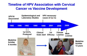 HPV timeline