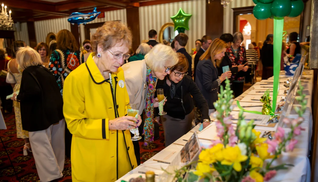 Daffodils and Diamonds Slideshow (15)