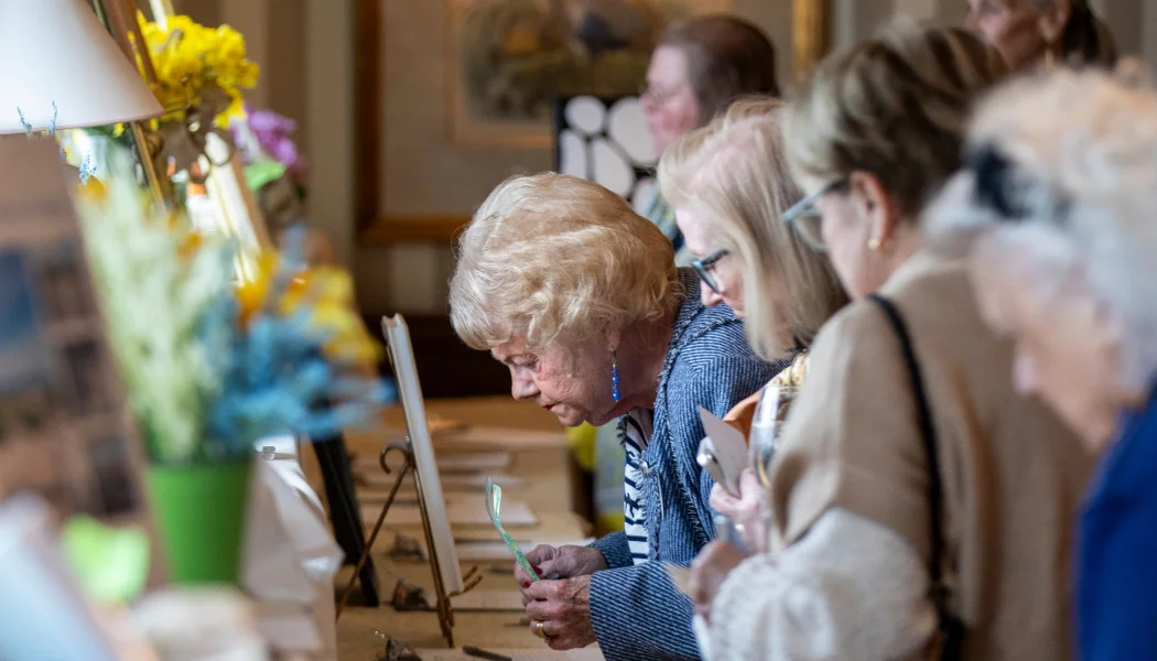 Daffodils and Diamonds Slideshow (4)