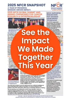 2025 Snapshot Preview