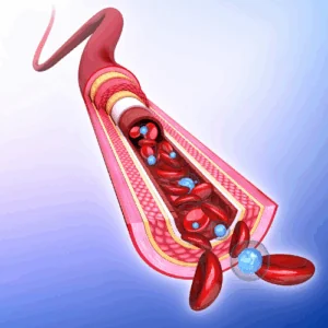 Circulating Tumor Cells