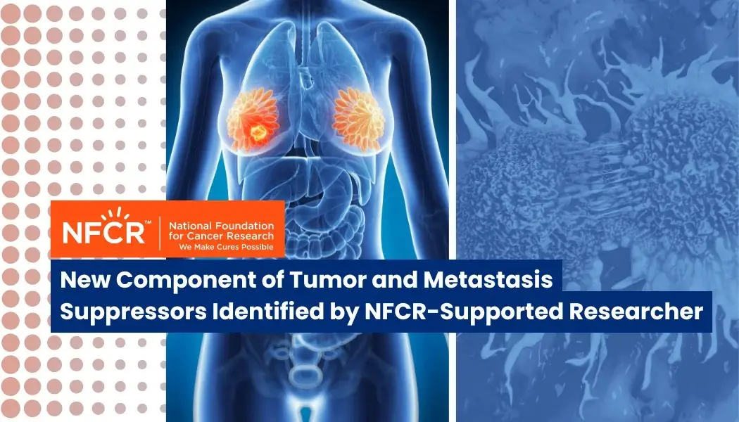 New-Component-of-Tumor-and-Metastasis-img