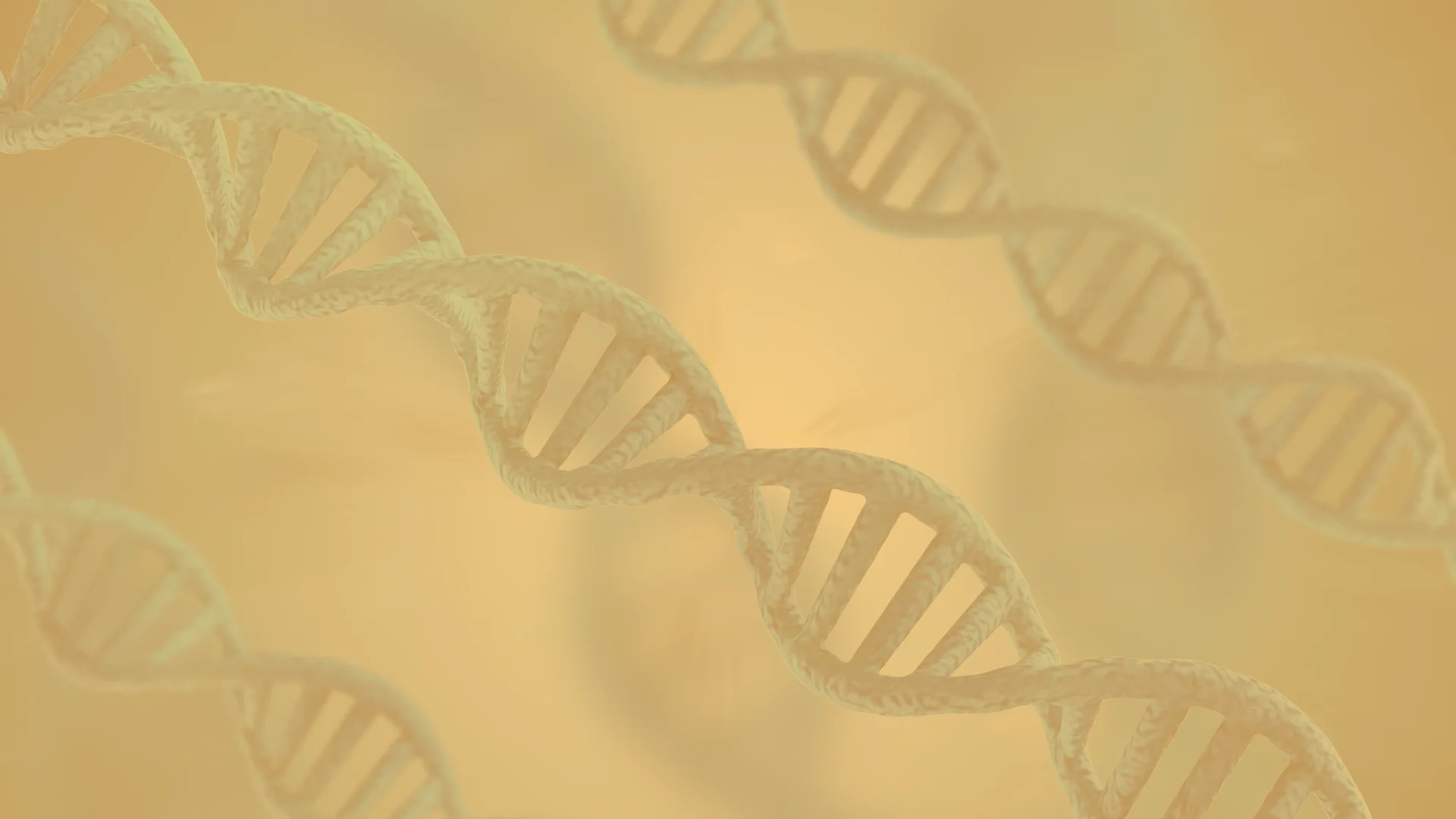 Genetics