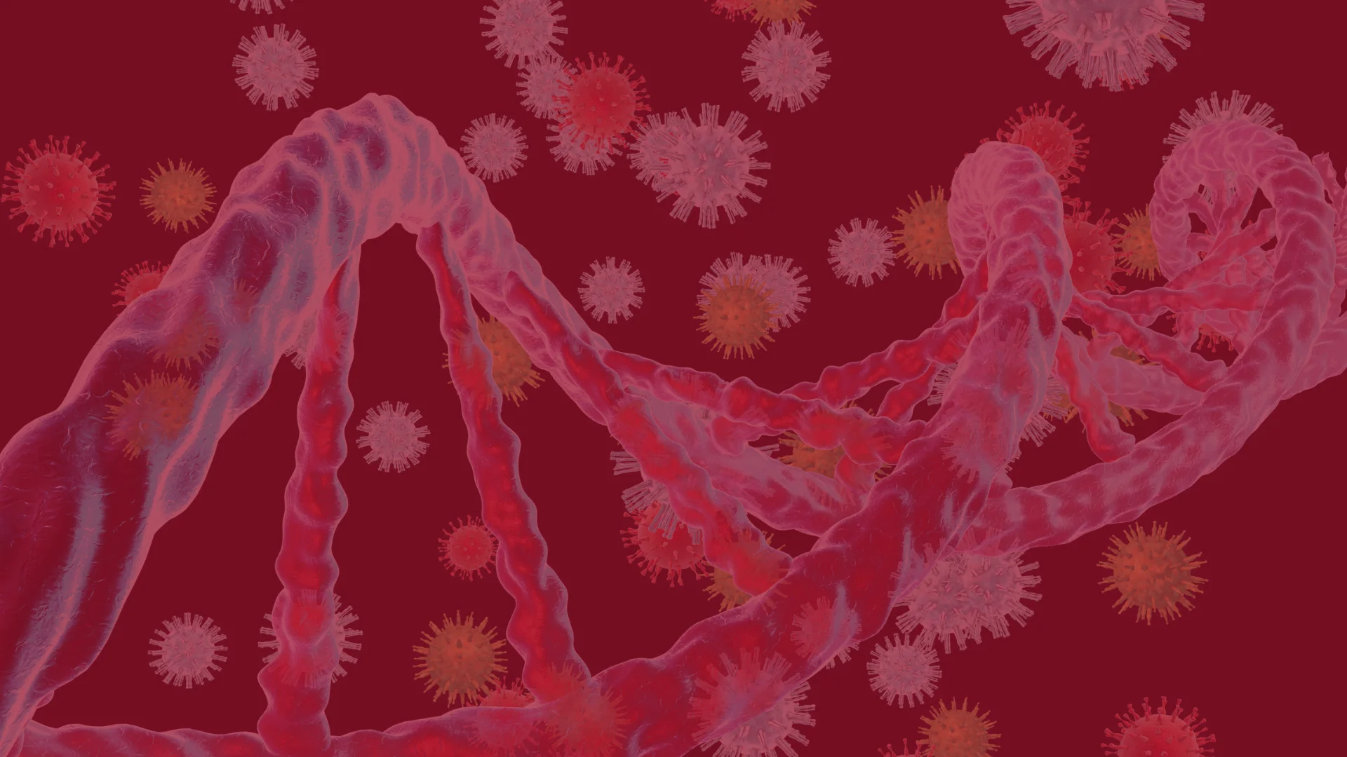 Oncogenes & Tumor Suppressor Genes