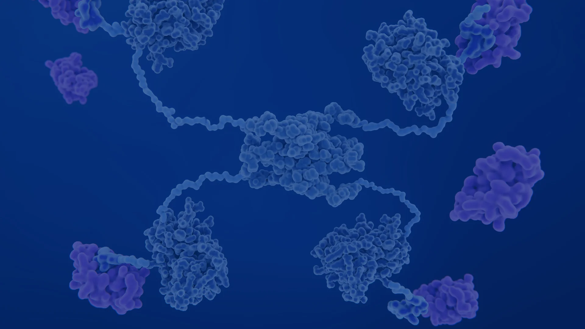 Tumor Microenvironment & Angiogenesis